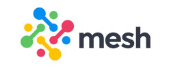 Mesh Logo